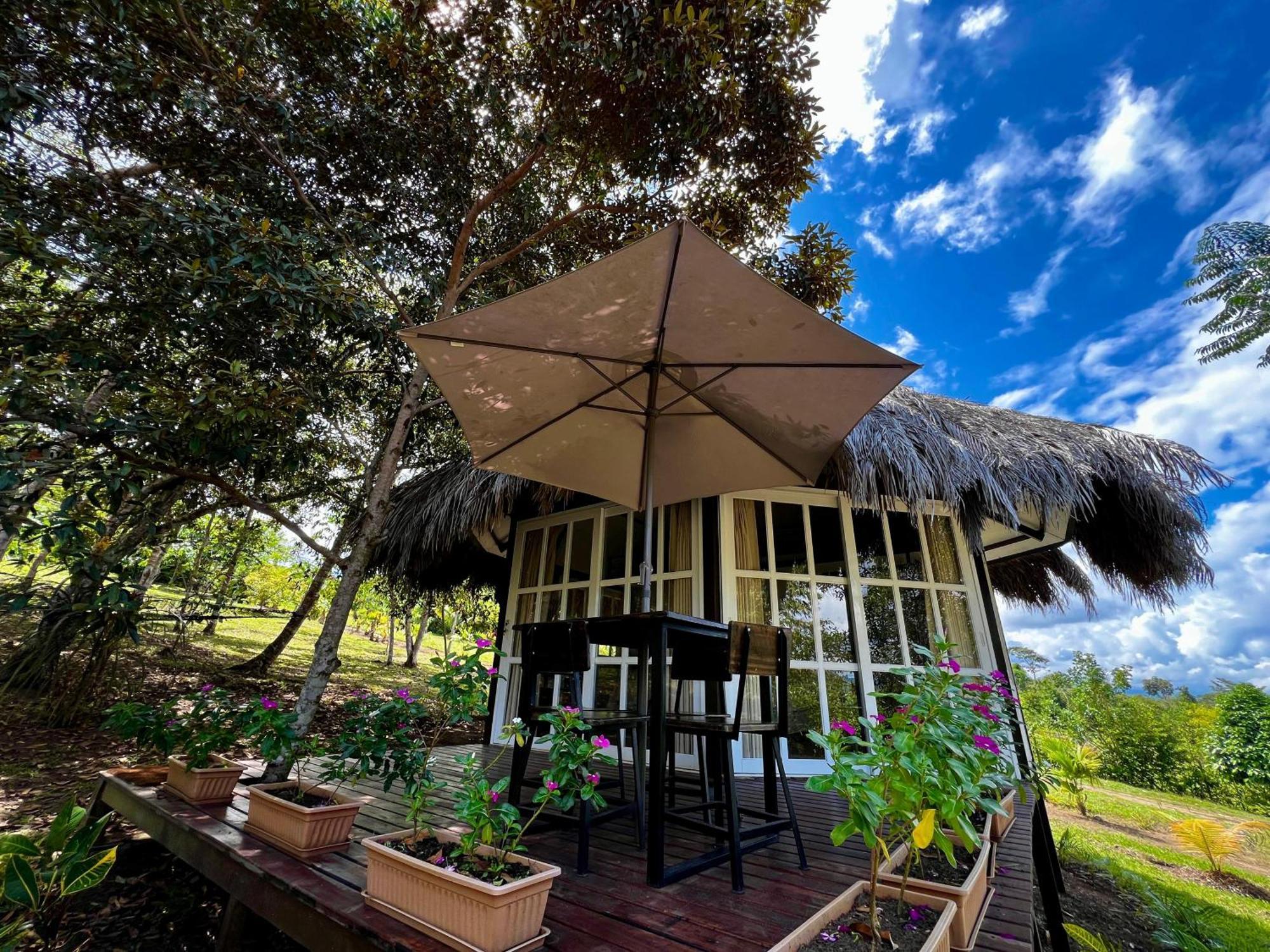 El Resort De Yanashpa - Tarapoto Quarto foto